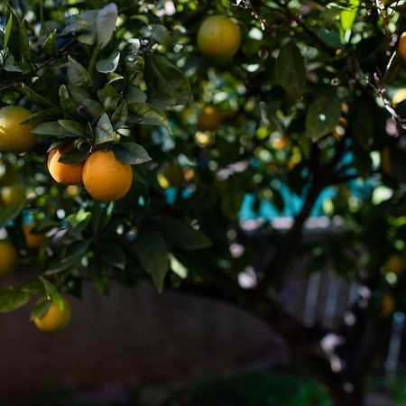 Florit Flats - The Orange Lemon Tree House Villa La Eliana Bagian luar foto